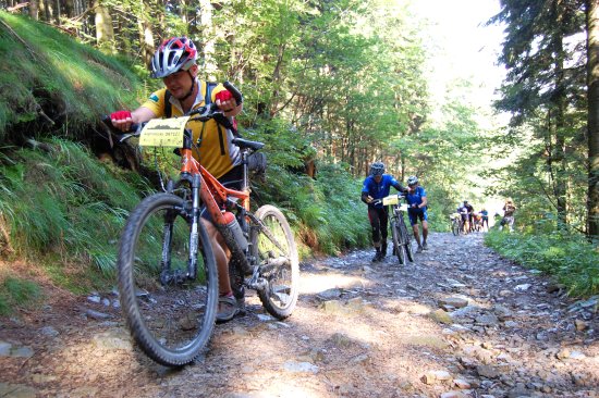 Terén, kterým vede Kopřivnický Drtič, je místy opravdu drsný. V prvním stoupání na Lysou horu, kopci Hradová, většina účastníků svá kola tlačila. 
FOTO: ROMAN LIPOVÝ