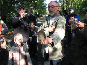U kroužkovaných ptáků se určoval druh, stáří a pohlaví jedince. Poslední kritérium se u drozda zpěvného s ohledem na nízký věk nepodařilo určit.  
FOTO: ILONA MAZALOVÁ