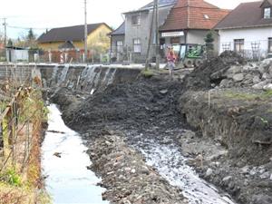 V Ženklava probíhají práce na zpevnění břehů, které podemlela velká voda. Ta se obcí prohnala vloni v létě. Stavební práce omezily dopravu, která je řízena semafory.
FOTO: ILONA MAZALOVÁ