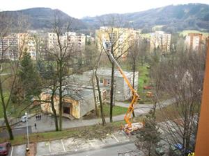Celkem 43 stromů musí být vykáceno z důvodu svého špatného zdravotního stavu. Stromy jsou káceny za použití plošiny.
FOTO: DANA HOĎÁKOVÁ