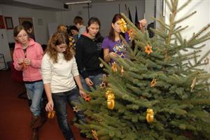 Zatímco většinou vánoční stromek v jednací místnosti rady města zdobí předškolní děti, letos tento úkol připadl žákům vyšších ročníků ZŠ Emila Zátopka.
FOTO: DAVID MACHÁČEK
