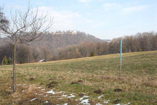 Také v těchto prostorách pod hukvaldským hradem už nyní vzniká golfové hřiště přírodního charakteru. Otevřít má už letos v létě.
FOTO: DAVID MACHÁČEK