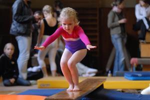 Nejmenší gymnastky se v závodě Brnkačka, který se v Kopřivnici konal již po sedmnácté, představily na lavičce a prostných.
FOTO: DAVID MACHÁČEK