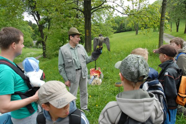 Lesohrátky na Janíkově sedle měly nejen připomenout, že letošek byl vyhlášen Mezinárodním rokem lesa, ale také lidem přiblížit práci myslivců, sokolníků, lesníků a ekologů.
FOTO: DAVID MACHÁČEK