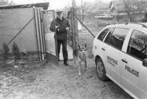Kotce naproti služebně v bývalých kasárnách sloužily v minulosti nejen pro služební psy, ale také pro zatoulaná zvířata. Fotografie pochází z roku 2001.
FOTO: ARCHIV KN