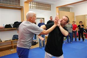Na kurzu sebeobrany určeném seniorům se starší lidé od zkušených lektorů učí také základní chvaty, které by měly případné útočníky odradit.
FOTO: DANA HOĎÁKOVÁ