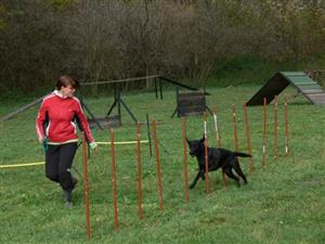 Zvládnout slalom mezi tyčkami byl oříškem nejen pro psy, ale hlavně pro jejich majitele. Při zdolání všech překážek se používala motivační technika.
FOTO: ILONA MAZALOVÁ