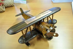 Nezvyklé ocenění v podobě dřevěného dvojplošníku si kopřivnická radnice vysloužila za svou aktivní práci v pilotním projektu přípravy metodiky hodnocení kategorie A.
FOTO: DAVID MACHÁČEK