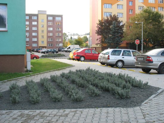 Na sídlišti Sever byly vloni vysázeny kromě stromů a keřů také trvalkové záhony.
FOTO: JAN HABR