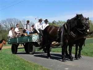 I přes nesnesitelné vedro a silný vítr se povoz tažený koňmi s farářem a kapelou projel po katastru Závišic, aby tradičně požehnal polím a lukám.
FOTO: ILONA MAZALOVÁ