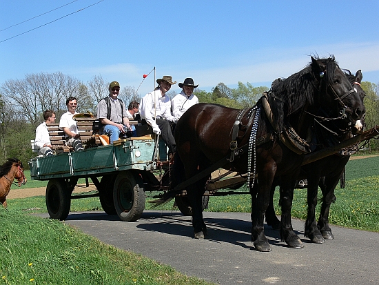 I přes nesnesitelné vedro a silný vítr se povoz tažený koňmi s farářem a kapelou projel po katastru Závišic, aby tradičně požehnal polím a lukám.
FOTO: ILONA MAZALOVÁ