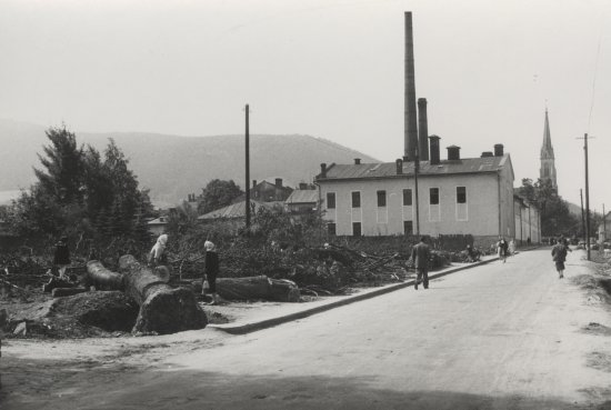 Snímek z roku 1948 zachycuje prostor, kde dnes stojí místní poliklinika. Tehdejším připravovaným úpravám jedné z hlavních ulic ve městě padla také za oběť kaštanová alej nebo stoletá lípa.
FOTO: ARCHIV MUZEA FOJTSTVÍ