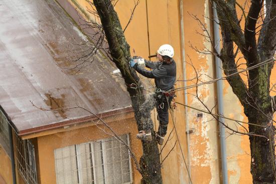 System.Linq.Enumerable+<TakeIterator>d__25`1[System.Char]