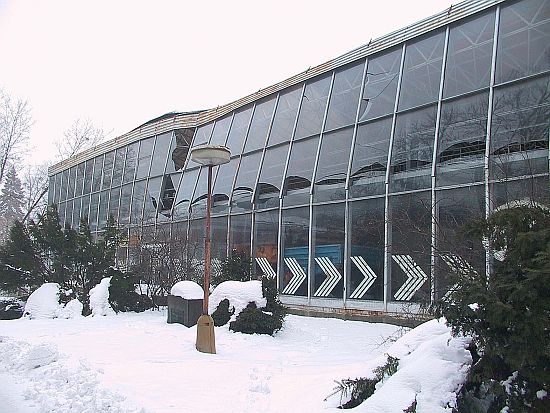 Budova někdejšího Technického muzea těsně poté, co na jaře 2004 nevydržela přívaly těžkého sněhu. Město nyní na likvidaci jejích pozůstatků skrytých v zemi získalo dotaci.
FOTO: DAVID MACHÁČEK