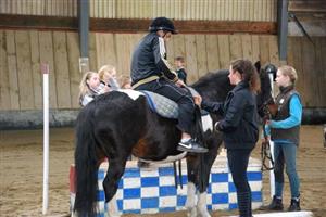 Jízda na koních a ponících byla jednou z disciplín Her bez hranic na Hermelín ranči, na nichž šlo hlavně o integraci zdravých a postižených dětí.
FOTO: DANA HOĎÁKOVÁ