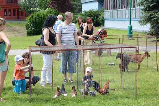 Součástí dalšího farmářského trhu v Kopřivnici byla také výstavka drobného hospodářského zvířectva. Městské děti tak objevovaly drůbež, králíky nebo třeba kozy.
FOTO: DAVID MACHÁČEK