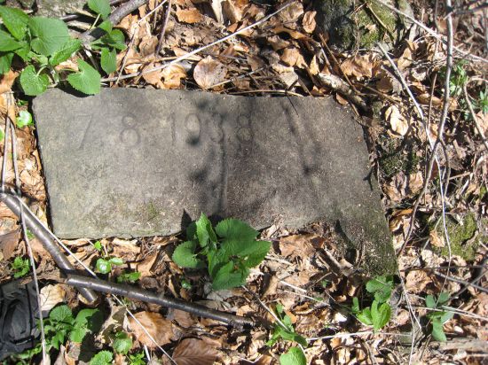 Základní kámen nerealizované Masarykovy rozhledny byl dlouho považován za ztracený. Pracovníci muzea jej objevili až letos.
FOTO: ONDŘEJ ŠALEK