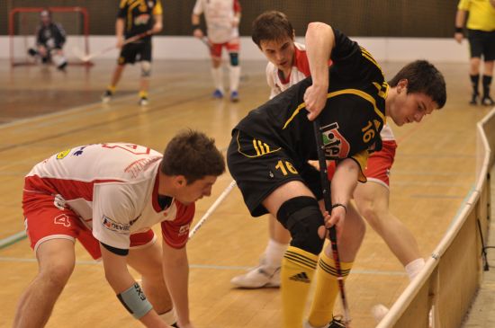 Vikingové věří, že mohou v I. lize postoupit do play-off.
FOTO: JANA FEILHAUEROVÁ