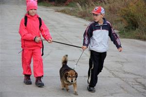 Psí kroužek pro děti, které doma vytouženého čtyřnohého kamaráda zatím nemají, se těší nečekané popularitě.
FOTO: IVA GILAROVÁ