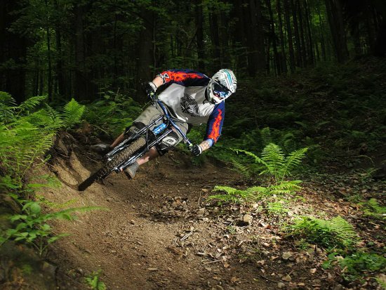 Vyznavači adrenalinových sjezdů si už svahy Červeného kamene oblíbili. K již existující trati by ale rádi přidali další a vybudovali zde bikepark, který by lákal cyklisty z celé republiky.
FOTO: JULIE HRUBÁ