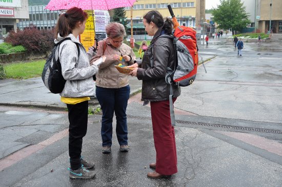 Ve středu 14. května skauti a pionýři v centru Kopřivnice nabízeli květ měsíčku lékařského, který je symbolem sbírky na boj s rakovinou.
FOTO: KRISTINA ČABLOVÁ