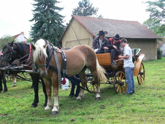 Součástí závišických dožínek byla i hojně využívaná možnost projížďky v kočáře, bryčce nebo wagonetě.
FOTO: ILONA MAZALOVÁ