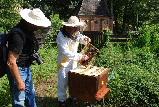 System.Linq.Enumerable+<TakeIterator>d__25`1[System.Char]