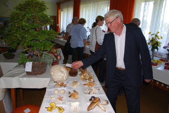 Jako tradičně vévodily podzimní pouťové výstavě v Lubině mykologické úlovky Jaromíra Durčeka, který letos dokázal nashromáždit 210 druhů hub.
FOTO: DANA HOĎÁKOVÁ