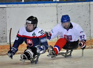 Na kopřivnickém ledě se v neděli v exhibičním utkání utkaly sledge hokejové výběry České republiky a Slovenska. Trenérem domácí reprezentace je původem místní hokejista Jiří Bříza.
FOTO: KRISTINA ČABLOVÁ