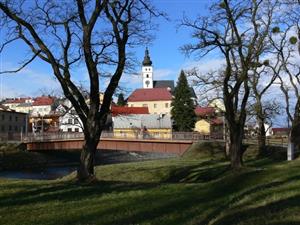 Dřeviny v parčíku U Lávky budou v průběhu března pokáceny. Důvodem je neuspokojivý zdravotní stav, který hrozí rozpadem kmene.
FOTO: ILONA MAZALOVÁ