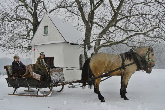 Většina akcí v Závišicích a okolí se neobejde bez koní a doprovodu rodiny Bajerových. Díky její iniciativě se podařilo obnovit i poutě ke kapličce zasvěcené svaté Anně.
FOTO: ARCHIV