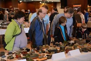 Modely na 19. ročníku Beskyd Model Kit Show si o víkendu prohlédlo více než čtyři tisíce návštěvníků. 
FOTO: DAVID MACHÁČEK