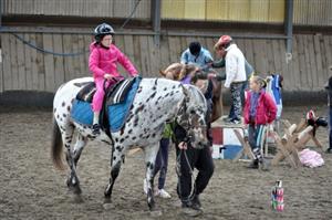 Hermelín ranč hostil již poněkolikáté hry bez hranic. Jízda na koních patří k nejoblíbenějším disciplínám a rády ji mají jak zdravé, tak děti s handicapem.
FOTO: KRISTINA ČABLOVÁ
