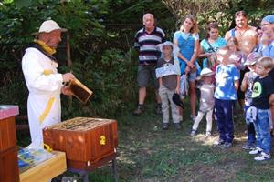 V rámci Festivalu medu a písničky, který se konal minulý týden v areálu Muzea Fojtství, Oldřich Němec neúnavně po tři dny ukazoval všem zájemcům, z čeho se skládá úl a jak se pracuje s živým včelstvem.
FOTO: DANA HOĎÁKOVÁ
