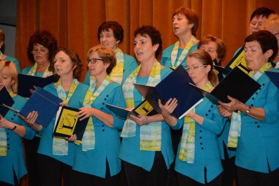 Hostem 19. ročníku přehlídky pěveckých souborů připravované Pěveckým sdružením Kopřivnice byl i smíšený pěvecký sbor Lašan z nedalekého Brušperku. 
FOTO: DAVID MACHÁČEK