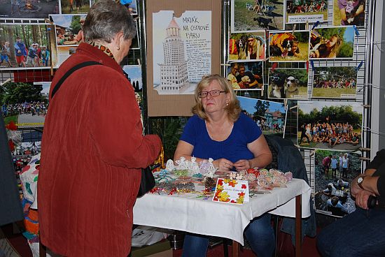 V rámci výstavky Šikovné ruce našich seniorů si návštěvníci mohli některé drobnosti také zakoupit. K dispozici byly i vánoční ozdoby či přáníčka.
FOTO: DANA HOĎÁKOVÁ
