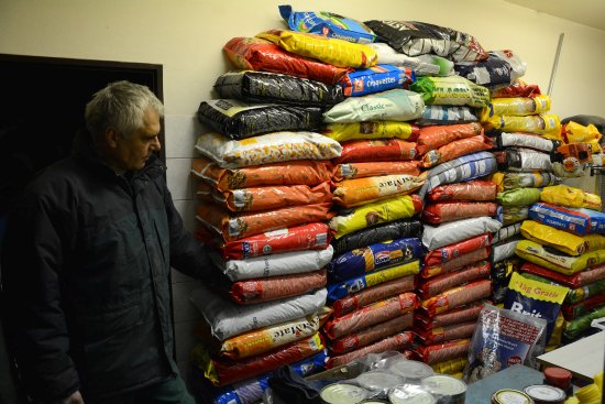 Víc než tunu granulovaného krmiva pro psy přinesli lidé před Vánoci do psího útulku ve Vlčovicích. Kromě granulí přinášeli konzervy i psí pamlsky.
FOTO: DAVID MACHÁČEK