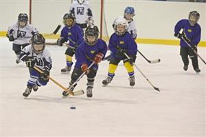 Hokejisté HC Kopřivnice ročníku 2009 a mladší statečně bojovali na turnaji v Rožnově pod Radhoštěm, starší získali bronzové medaile, mladší pak stříbrné.
FOTO: IVO DUDA