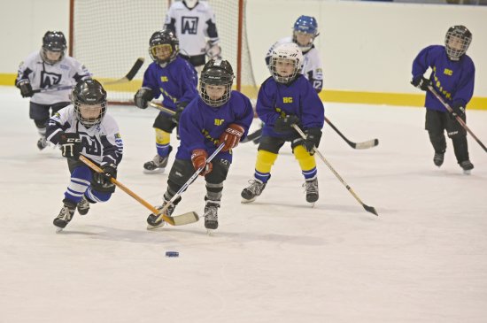 Hokejisté HC Kopřivnice ročníku 2009 a mladší statečně bojovali na turnaji v Rožnově pod Radhoštěm, starší získali bronzové medaile, mladší pak stříbrné.
FOTO: IVO DUDA