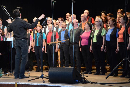 Pěvecký sbor Choeur Accord z města Trappes byl hostem Jarního koncertu Pěveckého sdružení Kopřivnice.
FOTO: DAVID MACHÁČEK