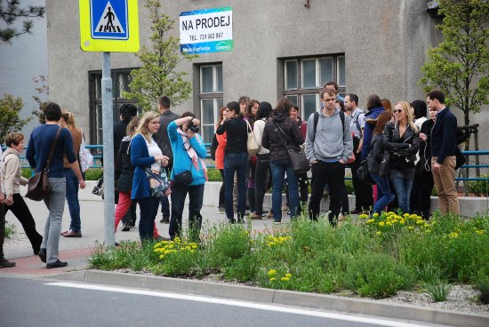 Účastníci semináře, který pořádal Český spolek perenářů minulý týden, se přijeli do Kopřivnice podívat na okrasné záhony kolem ulice Štefánikovy.
FOTO: DANA HOĎÁKOVÁ