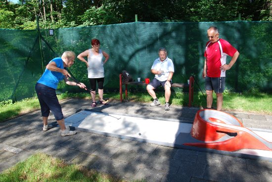 Senioři, kteří před týdnem přišli na minigolfové hřiště, se při hře příjemně bavili. Některým to šlo lépe, jiní dostali míček do jamky na víc úderů.
FOTO: DANA HOĎÁKOVÁ
