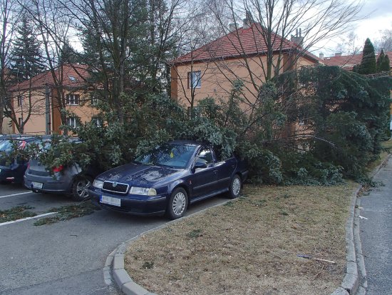 Silný vítr o víkendu přidělal práci hasičům. Ti se museli vypořádat s vyvrácenými stromy i sloupem telefonního vedení.
FOTO: JSDH KOPŘIVNICE
