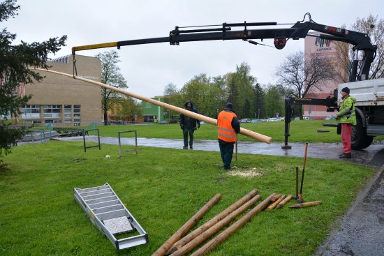 Pracovníci společnosti Slumeko minulý pátek v centru Kopřivnice nainstalovali tradiční májku.
FOTO: DANA HOĎÁKOVÁ