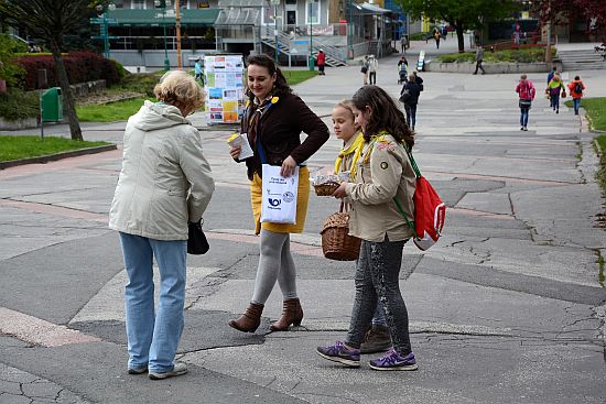 Také v ulicích Kopřivnice dobrovolníci nabízeli symbolický žlutý kvítek za příspěvek do celonárodní sbírky na boj s rakovinou.
FOTO: DAVID MACHÁČEK
