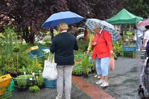Druhému farmářskému jarmarku, který proběhl v pátek 16. května, nepřálo počasí. Přesto si na něm lidé kupovali především sazenice bylin, zeleniny i květin. Další jarmark v centru města proběhne až po prázdninách.
FOTO: DANA HOĎÁKOVÁ