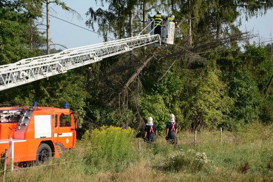 Hasiči museli mimo jiné likvidovat stromy spadlé na dráty elektrického vedení. Škody, které napáchal silný vítr, nebyly příliš vysoké.
FOTO: DAVID MACHÁČEK