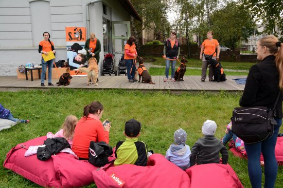 Místní canisterapeutický spolek SmilingDog představil svou činnost veřejnosti v prostorách budoucí Galerie Galaxie.
FOTO: DAVID MACHÁČEK
