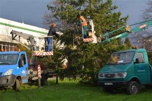 Pracovníci Slumeka finišují s instalací vánoční výzdoby, která se poprvé rozsvítí již tuto neděli. Slavnostní rozsvícení vánočního stromu proběhne 5. prosince.
FOTO: DANA HOĎÁKOVÁ