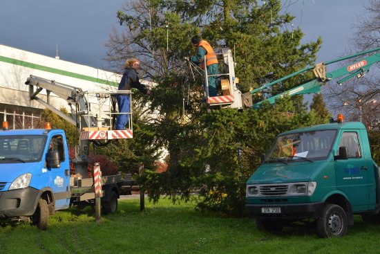 Pracovníci Slumeka finišují s instalací vánoční výzdoby, která se poprvé rozsvítí již tuto neděli. Slavnostní rozsvícení vánočního stromu proběhne 5. prosince.
FOTO: DANA HOĎÁKOVÁ